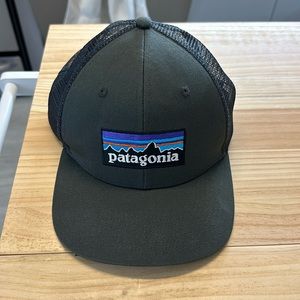 Patagonia trucker hat
